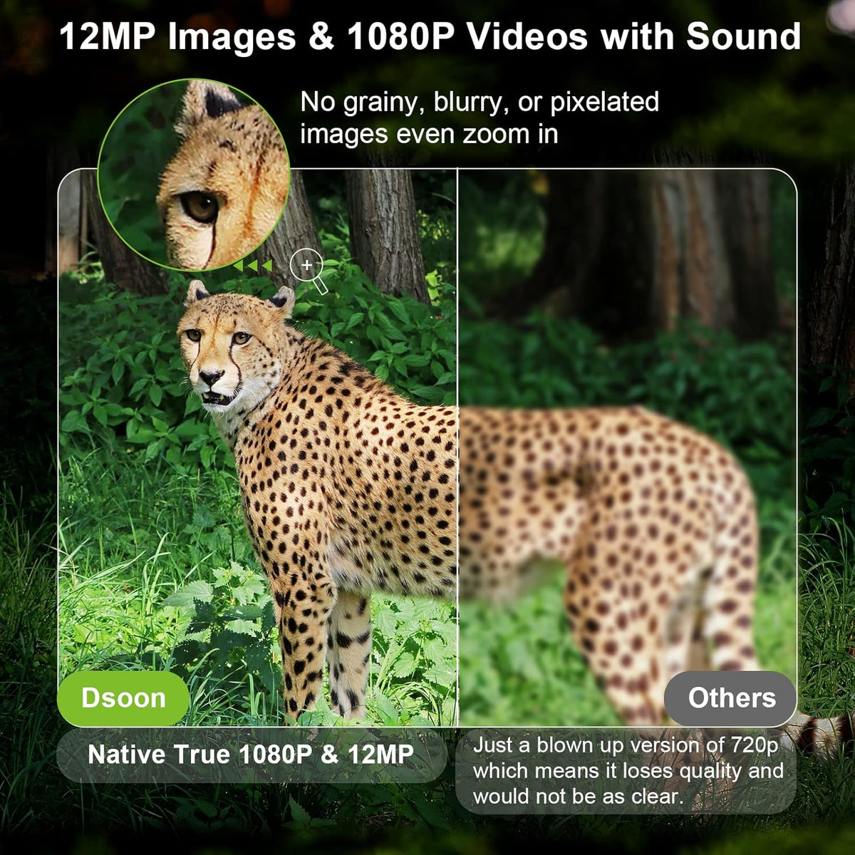 Mini Trail Camera 12MP 1080P with 65ft Night Vision IP66 Waterproof F8485