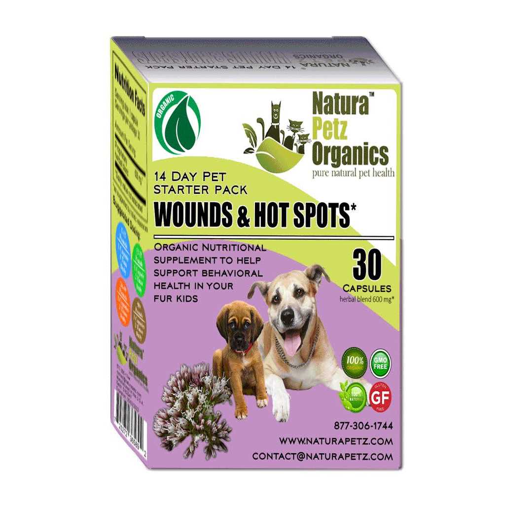 Dog Hot Spot Wound Starter Pak Y461
