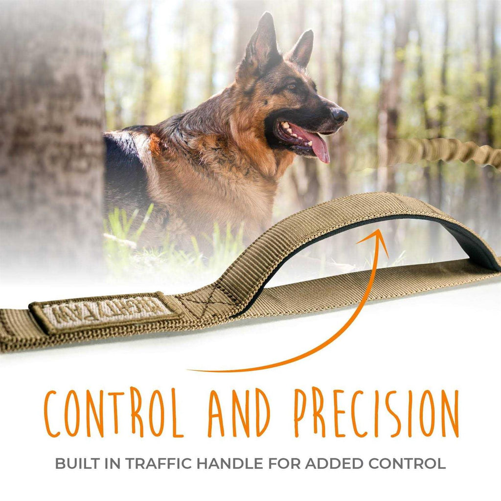 Dual Handle Dog Leash L14323