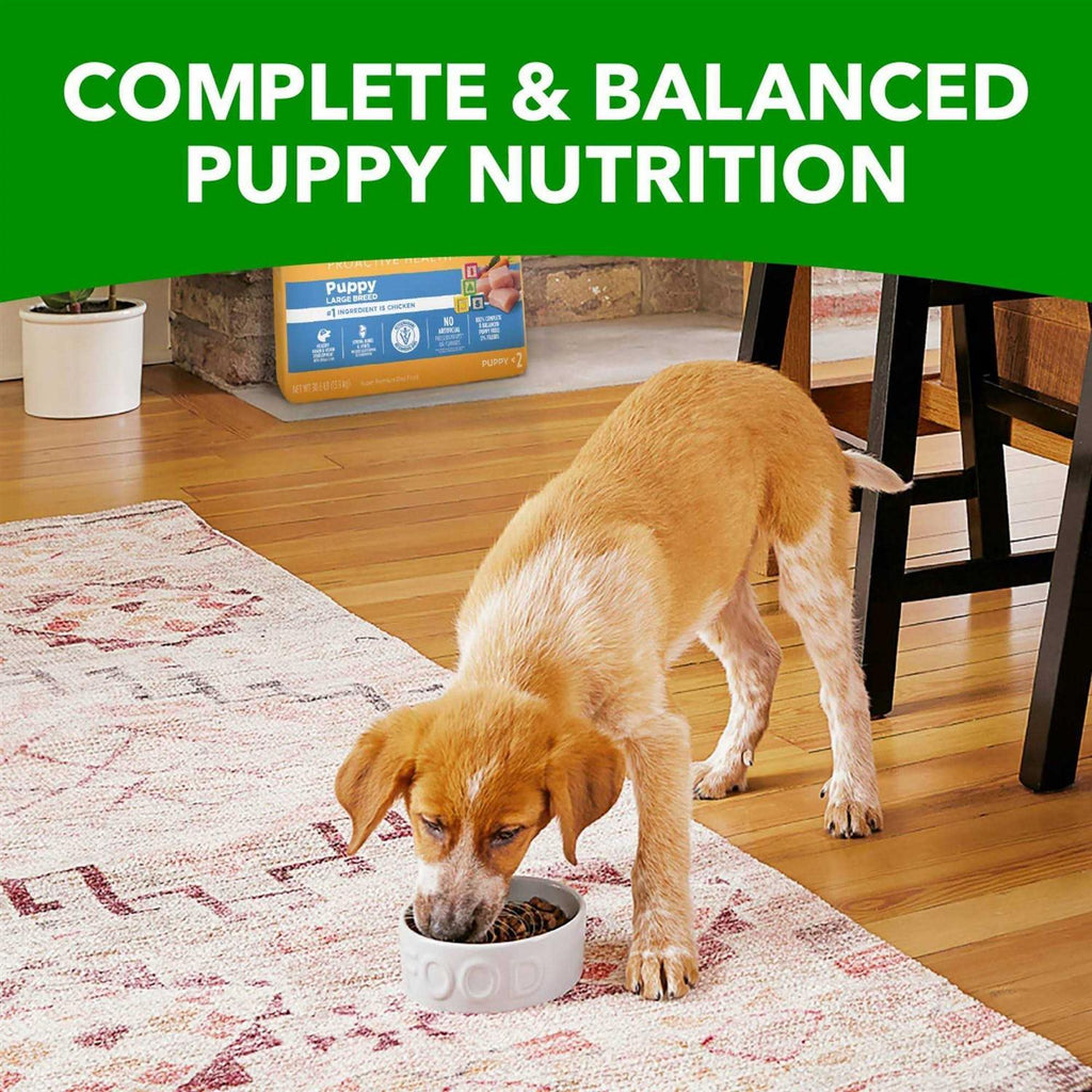 Large Breed Dry Dog Food X106591