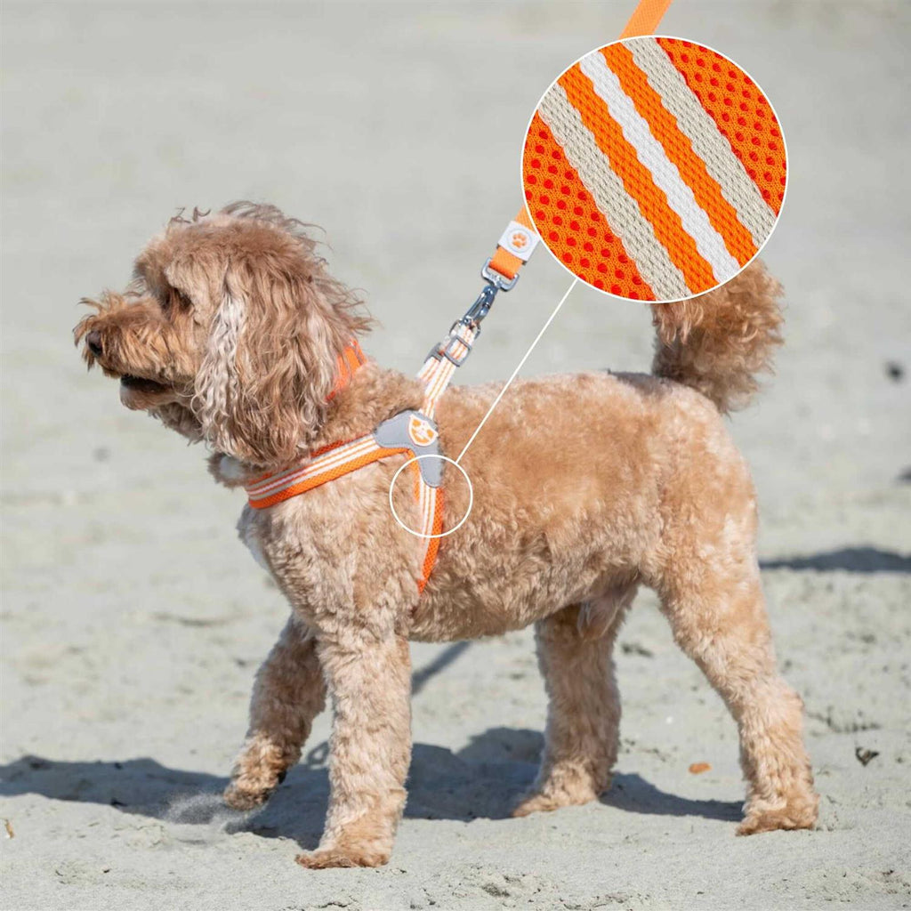 Dog Harness W8923