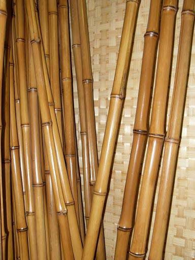 Natural Bamboo Stakes Bulk (250/Bale) C9428