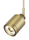 Aged Brass Head F819