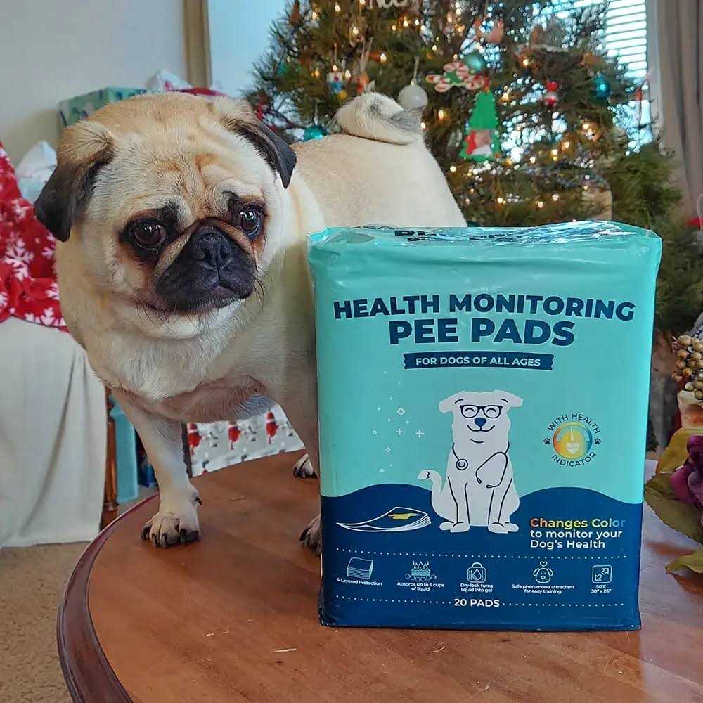 Health Monitoring Pee Pads E492912