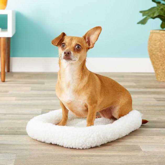 Pet Bed C593140