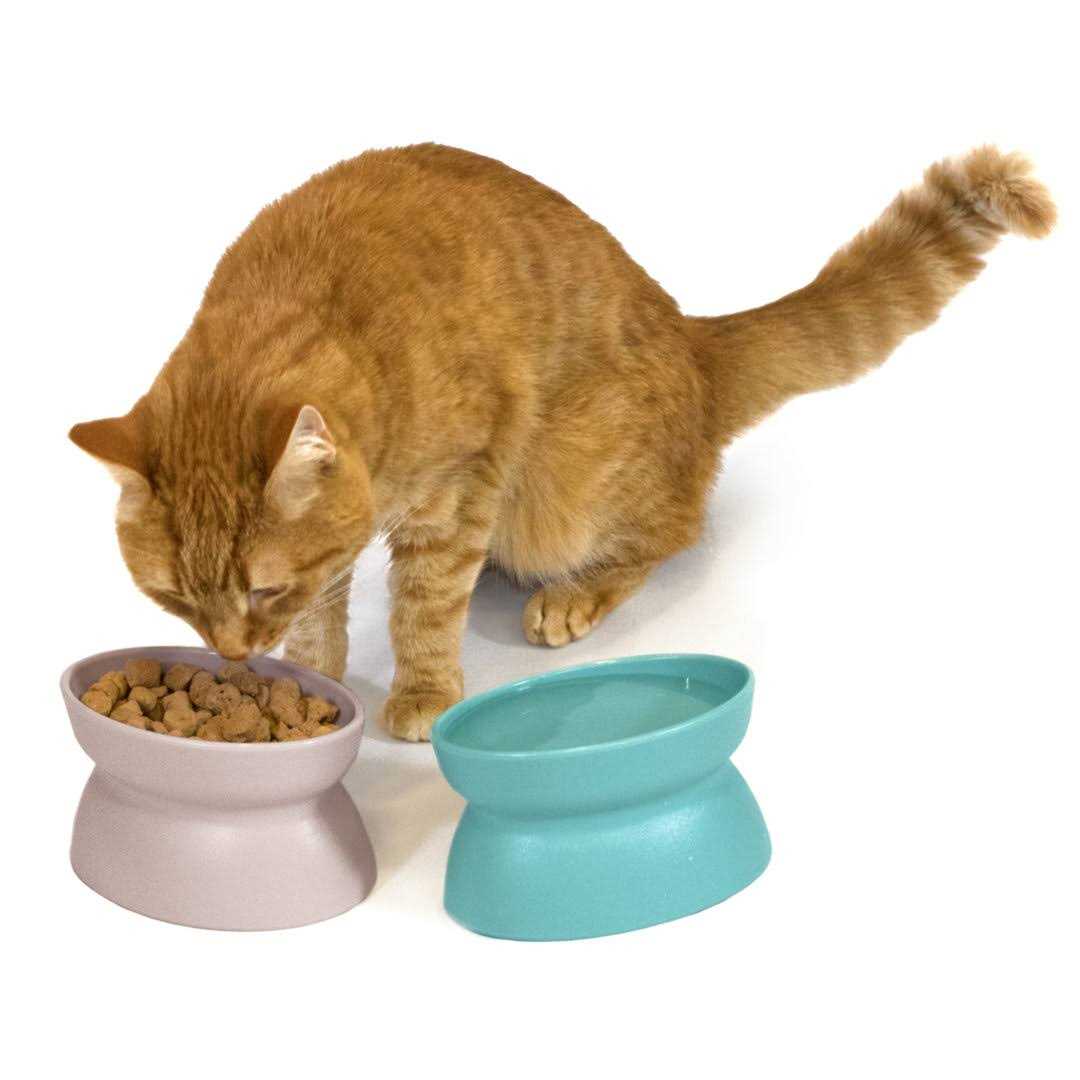 Raised Cat Food Bowl L781682