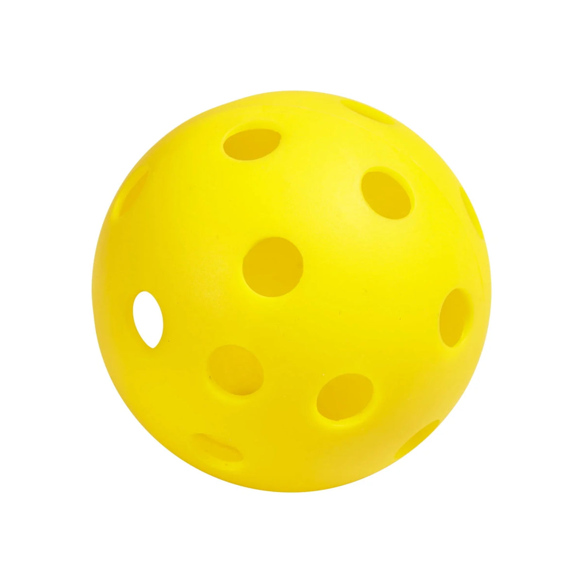 Pickleball Starter Set B9241