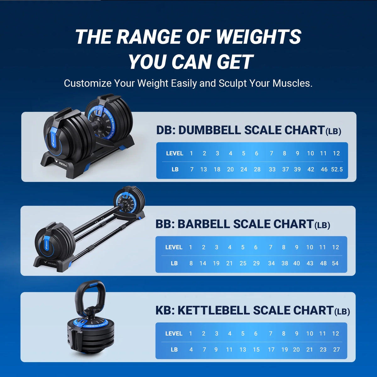 Adjustable Dumbbell Weight Set E520479