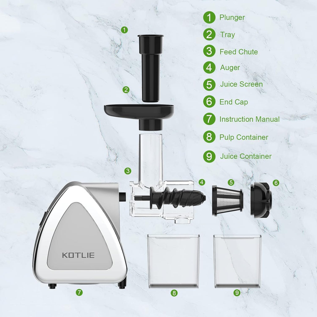 Silver Slow Masticating Juicer with Brush J3466
