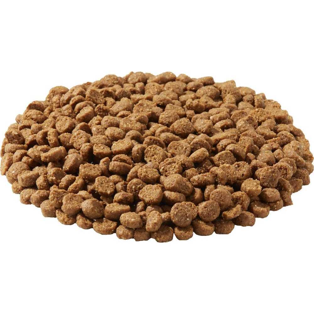 Dry Dog Food F8982