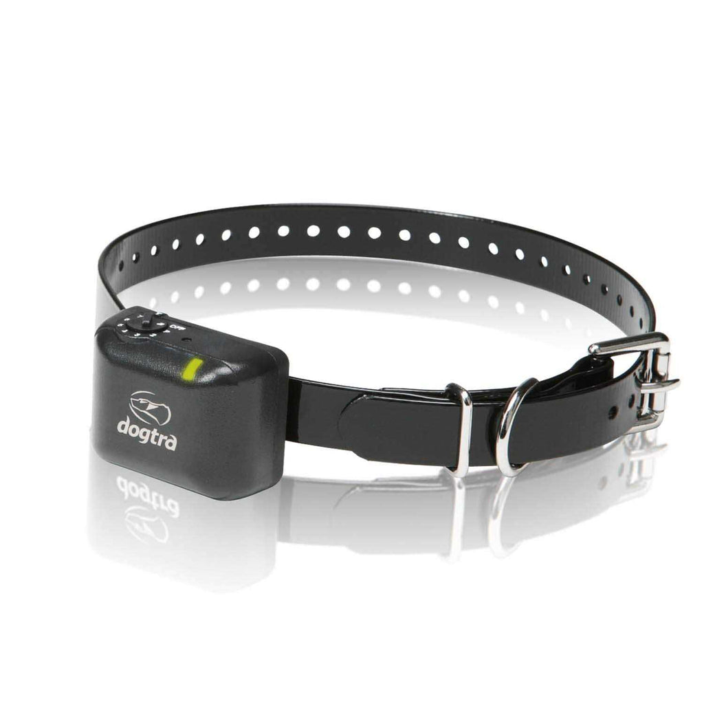 No Bark Collar Z53872