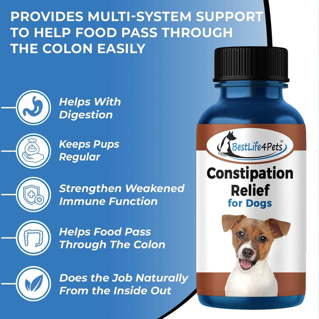 Natural Dog Laxative & Constipation Treatment F7880