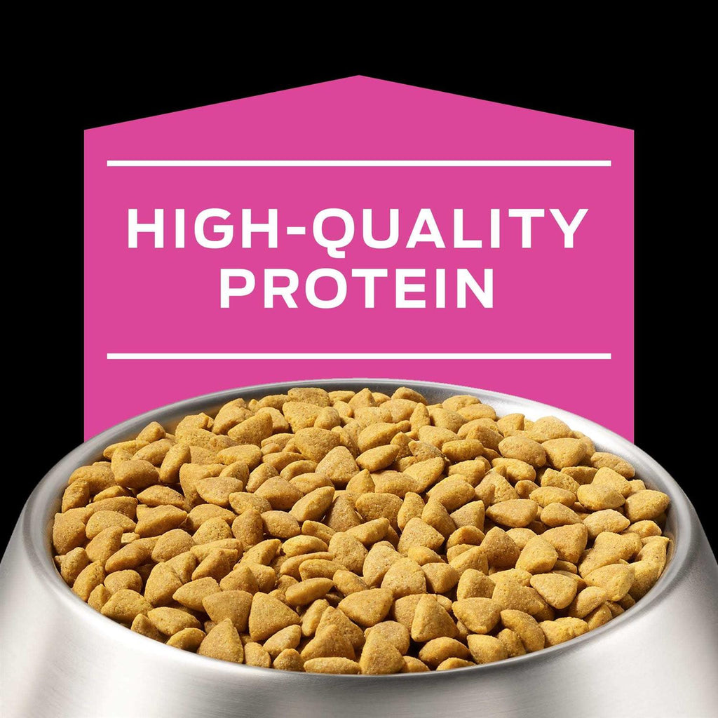 UR Ox/St Urinary Dry Dog Food R377354