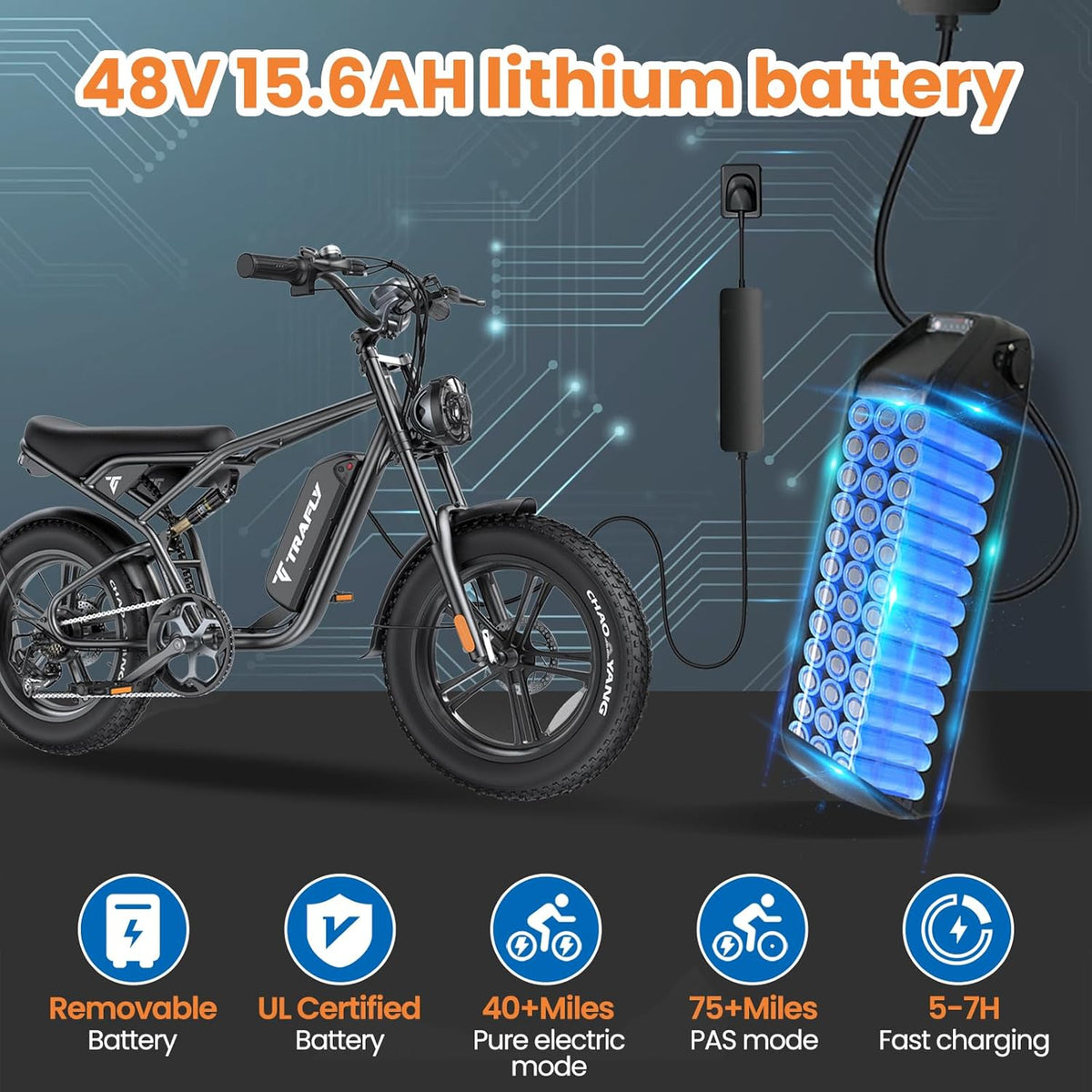20'' Fat Tire Electric Bike with 1500W Peak Motor and 48V15.6Ah Removable Battery T5502