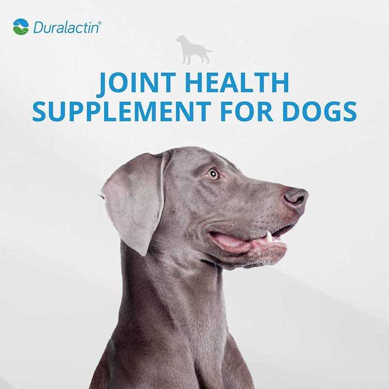 Canine 1000 mg L53349