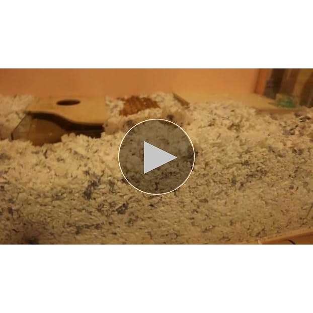 Clean & Cozy Small Pet Bedding S776314