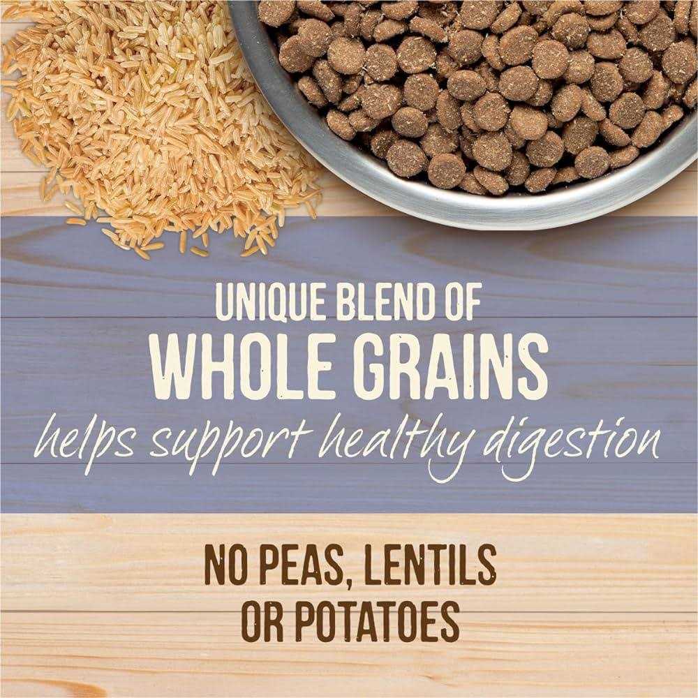 Healthy Grains Freeze Dried Raw Coated Dry Dog Food Puppy Recipe W31726