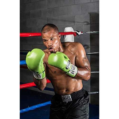 Official Boxing Gloves N415