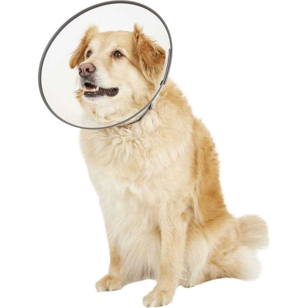 XL E-Collar I940497