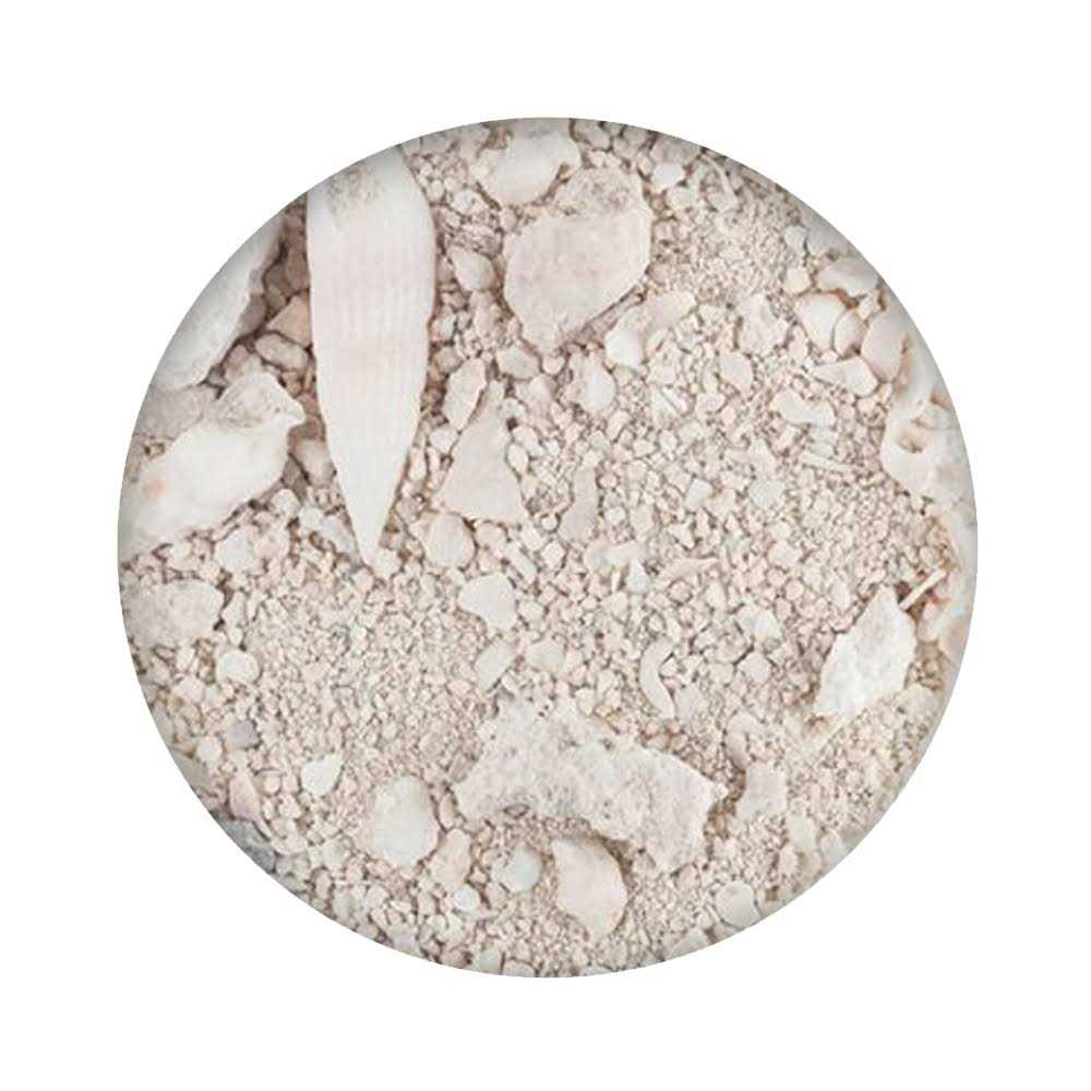 Natural Live Sand F288