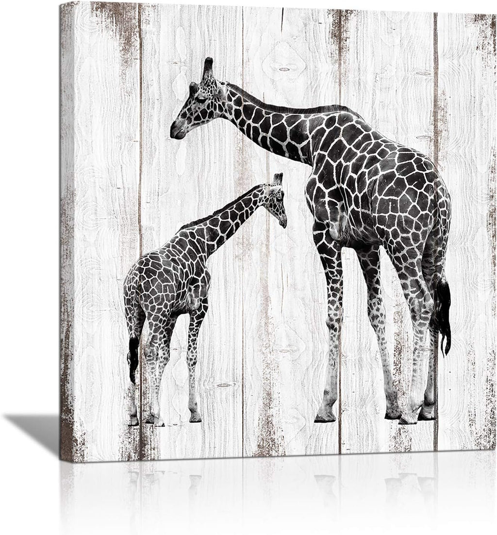 Black and White Giraffe Canvas Prints 24x24 H449