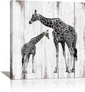 Black and White Giraffe Canvas Prints 24x24 H449