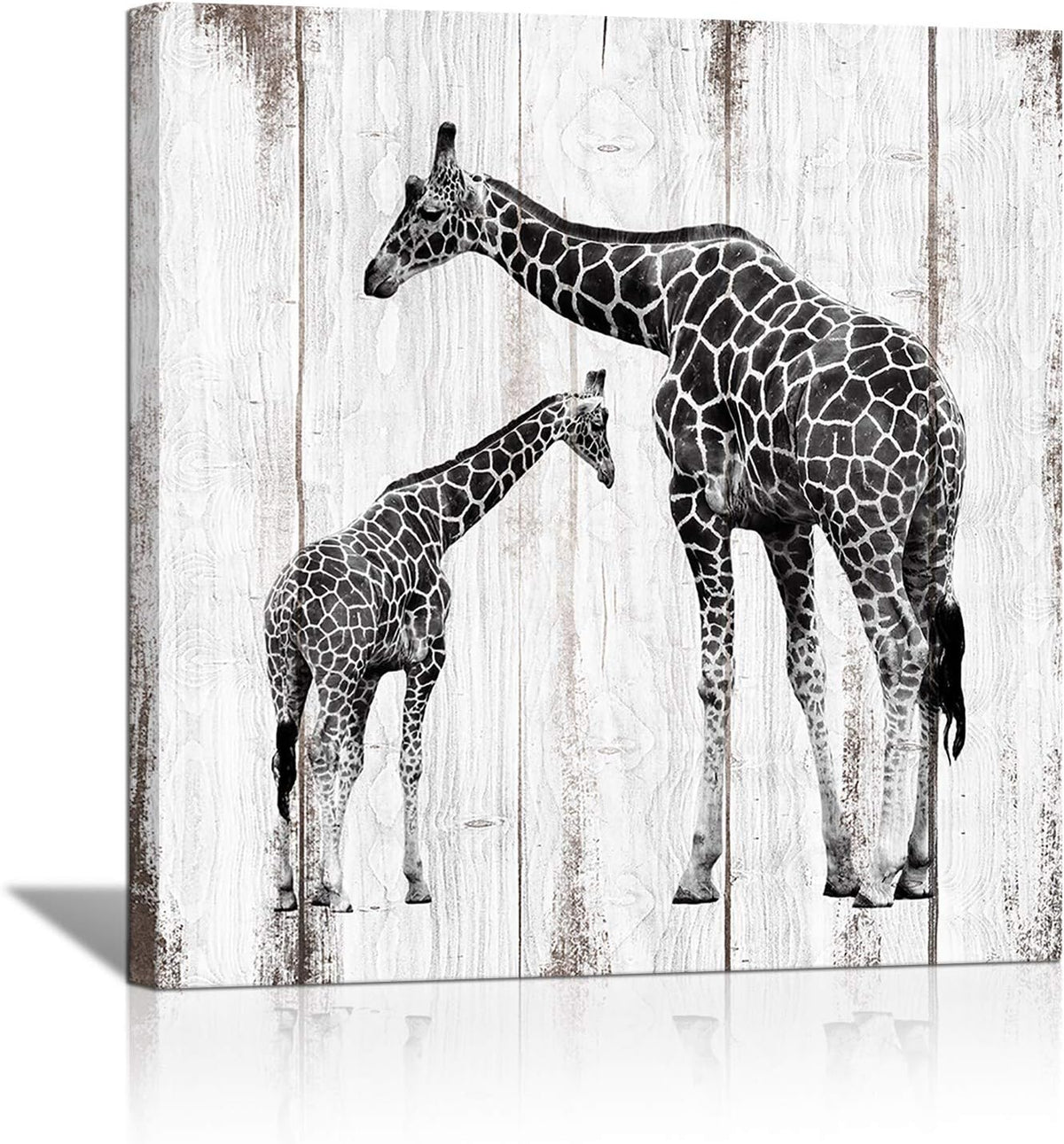 Black and White Giraffe Canvas Prints 24x24 H449