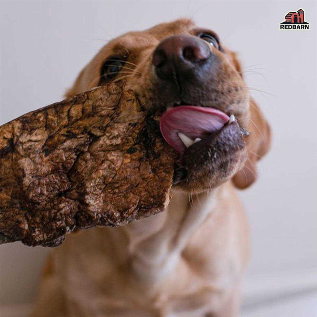 Dog Treats S9850