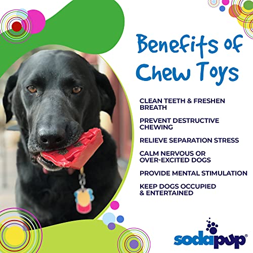 Durable Non-Toxic Nylon Dog Chew Toy B20634