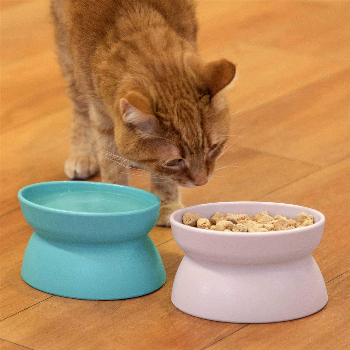 Raised Cat Food Bowl L781682
