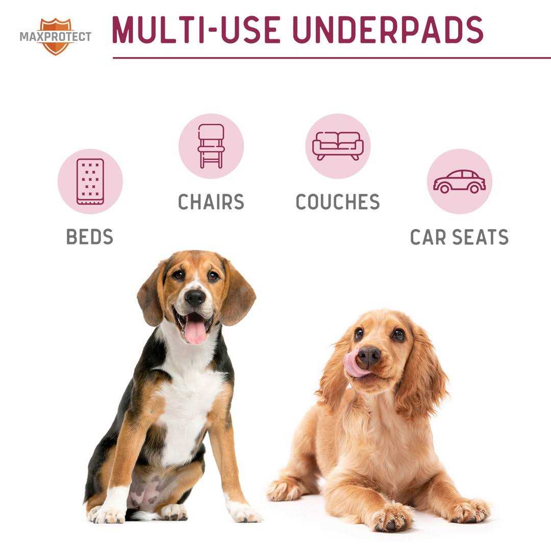Reusable Pee Pads for Dogs G828