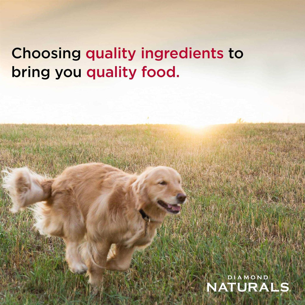 Large Breed Puppy Lamb Rice Food Y538158