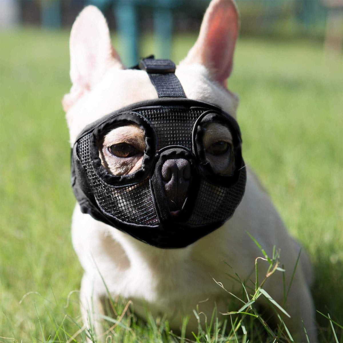 Adjustable Breathable Mesh Short Snout Dog Muzzle F820591
