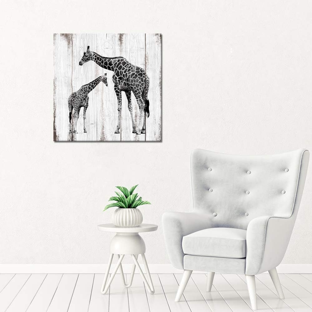 Black and White Giraffe Canvas Prints 24x24 H449