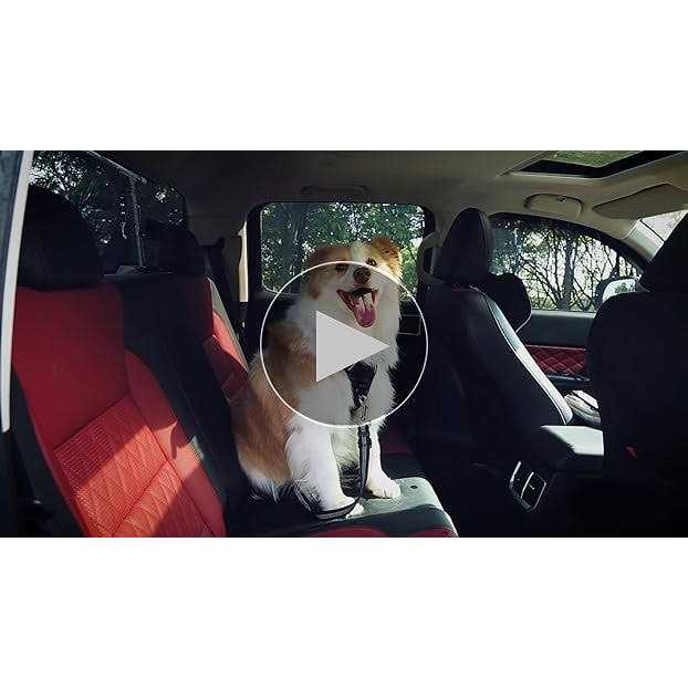 3 Piece Set Dog Car Seat Belt Headrest Restraint Adjustable with Elastic Bungee Buffer S562958