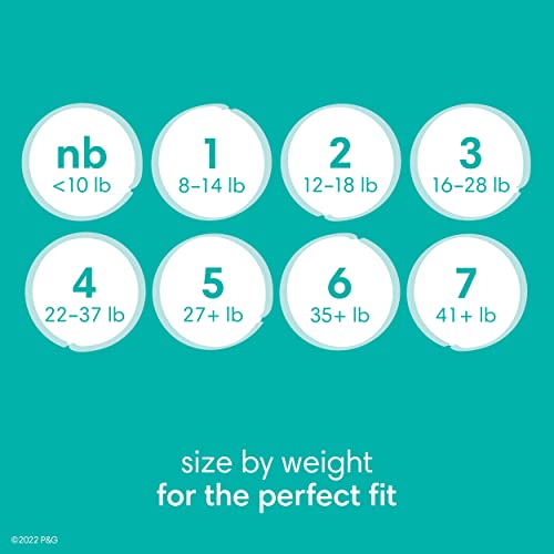 Size 1 120 Count Absorbent Disposable Diapers X66232