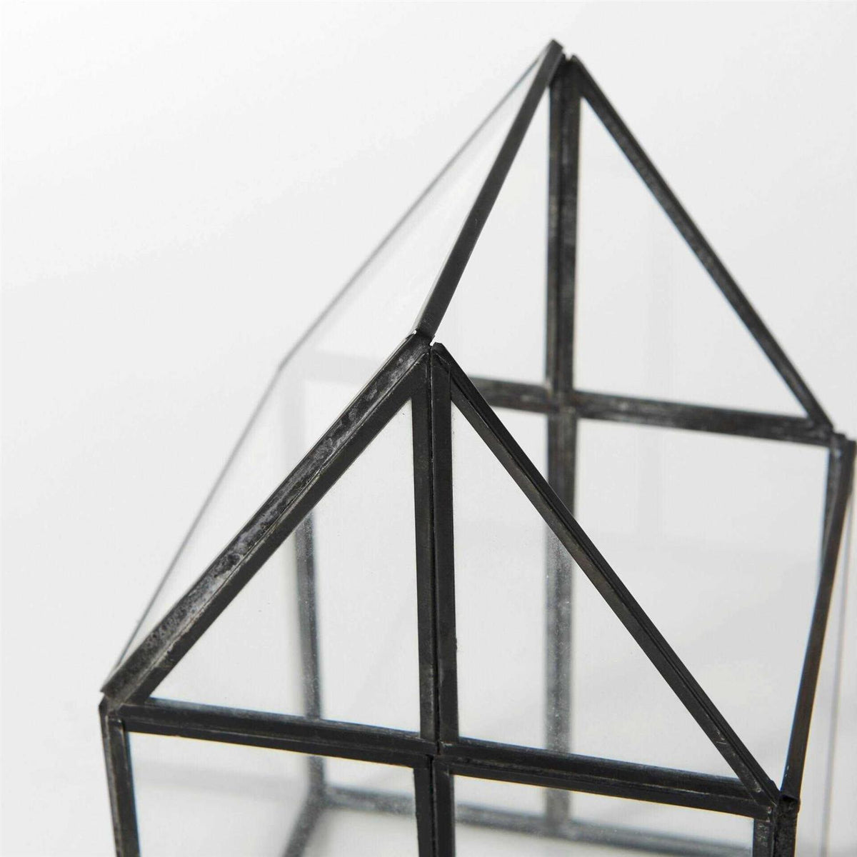Glass Terrarium F346