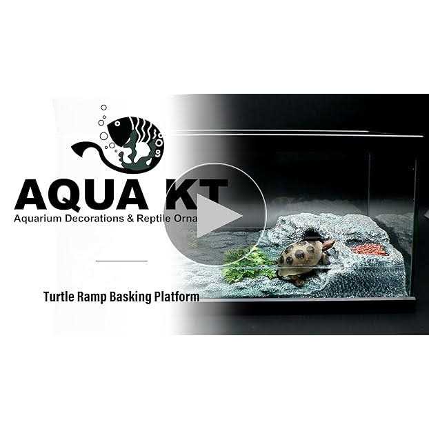 Aquatic Turtle Floating Basking Platform with Suction Cup V417547