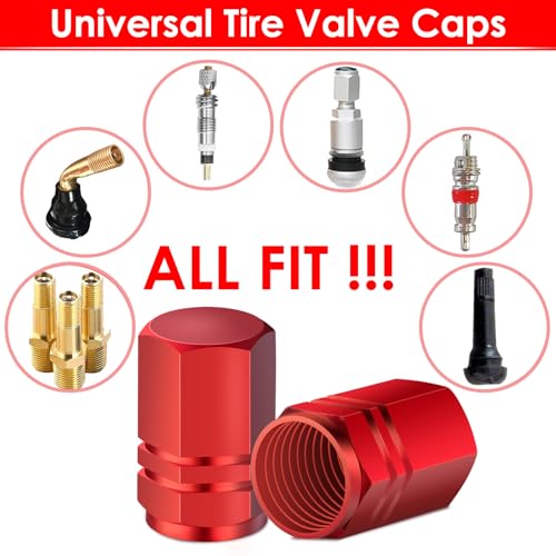 5 Pack Black Schrader Valve Cap C464