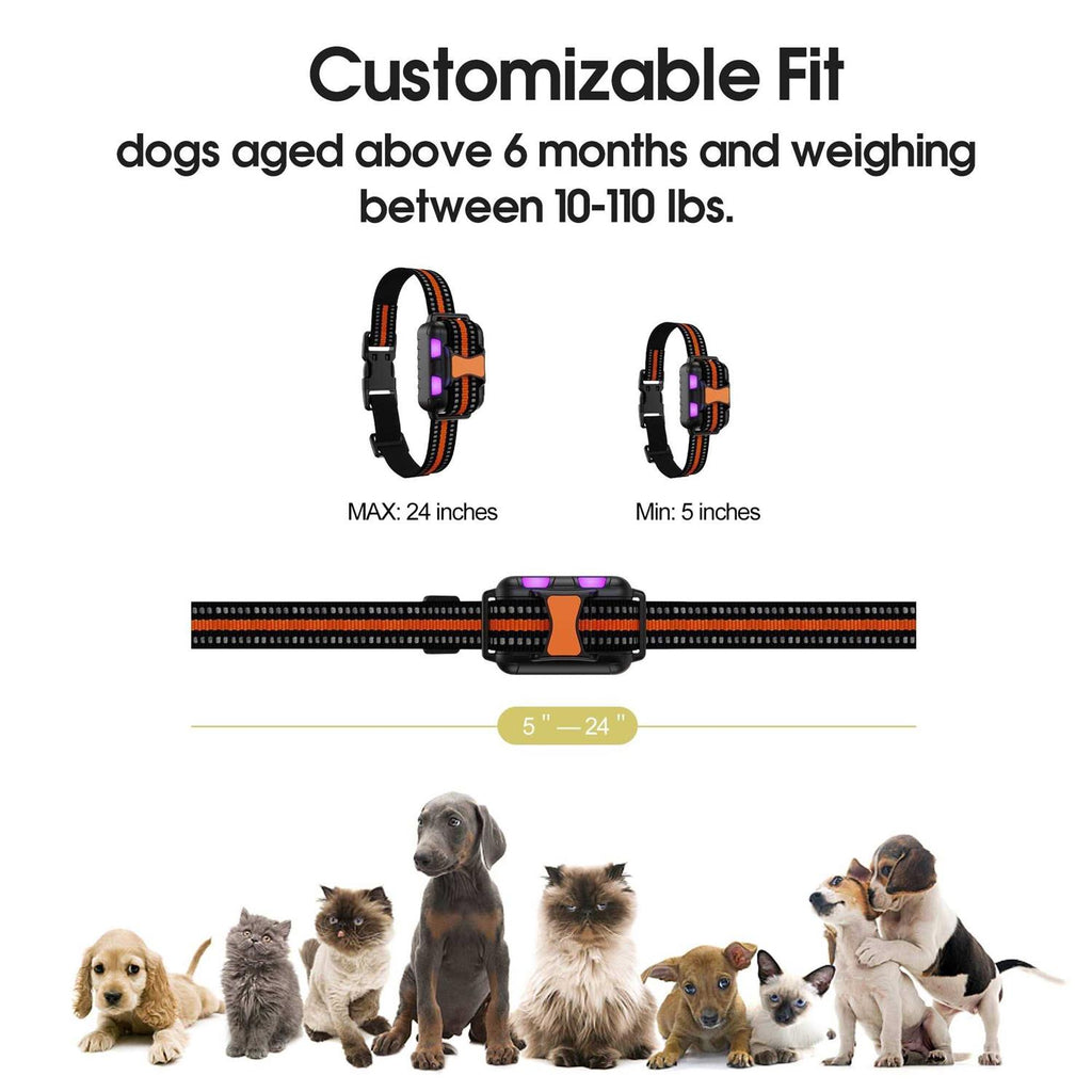 Remote Training Dog Collar G46788