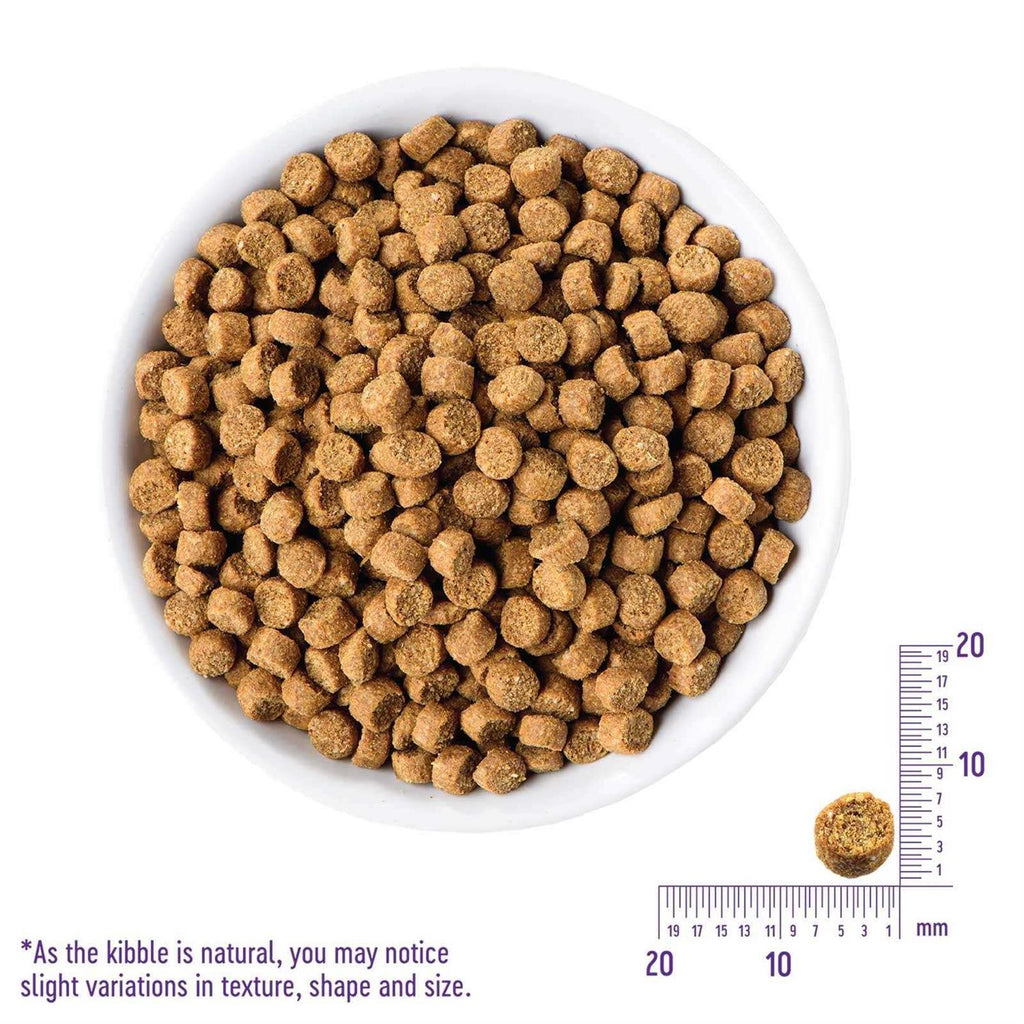 Grain-Free Turkey & Duck Dry Cat Food U3881