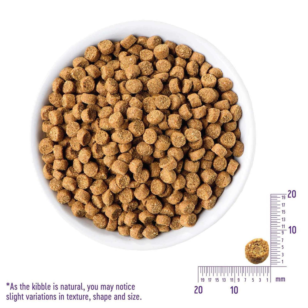 Grain-Free Turkey & Duck Dry Cat Food U3881