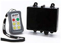 4 Function IP55 Relay System with Master, 5 Amps, 200 Ft. Range I347519