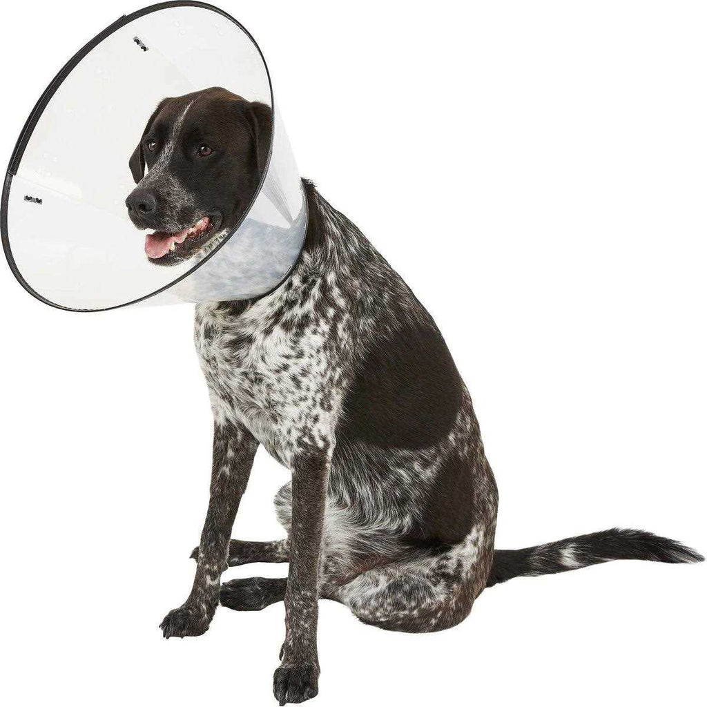 XL E-Collar I940497