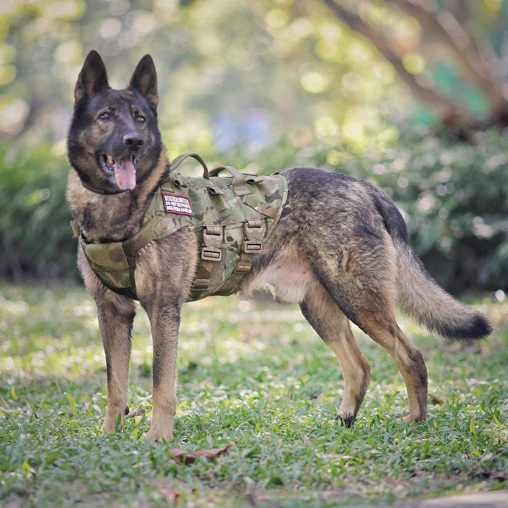 Tactical Dog Harness Adjustable Padded MOLLE Vest G1299