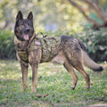 Tactical Dog Harness Adjustable Padded MOLLE Vest G1299