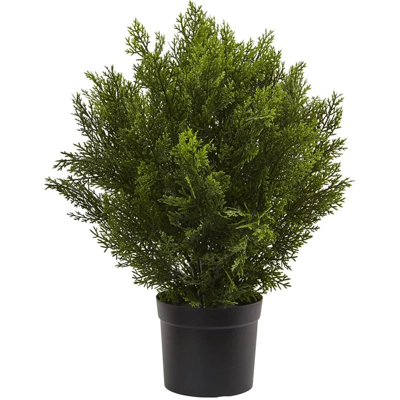 2'H Artificial Cedar Bush With Pot, Green/Black S224