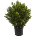 2'H Artificial Cedar Bush With Pot, Green/Black S224