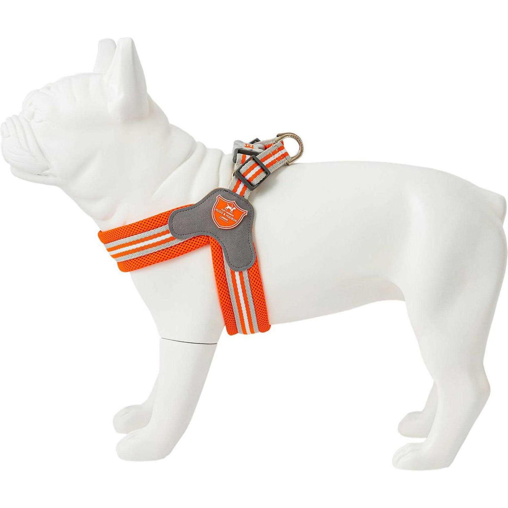 Dog Harness W8923