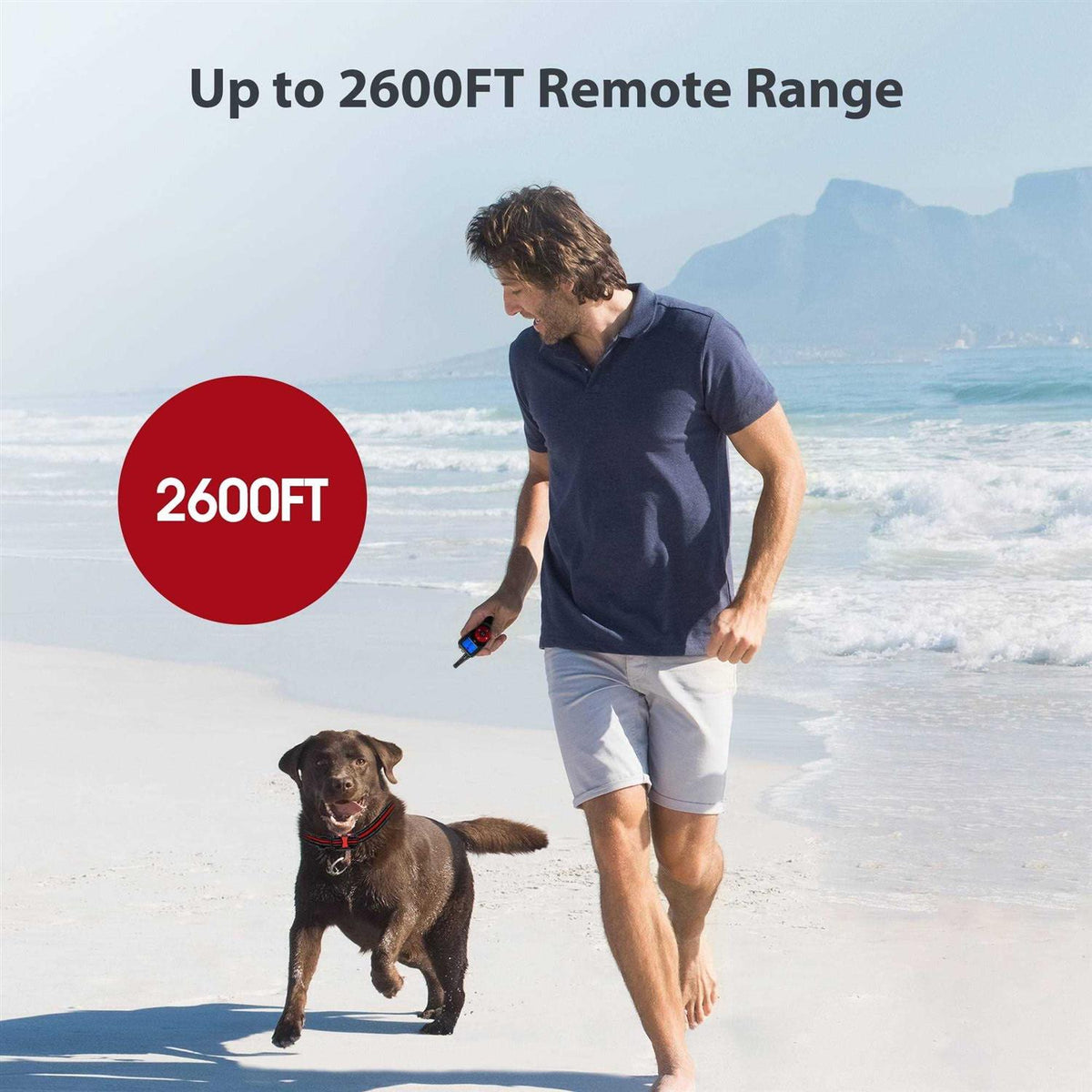 Remote Training Dog Collar G46788